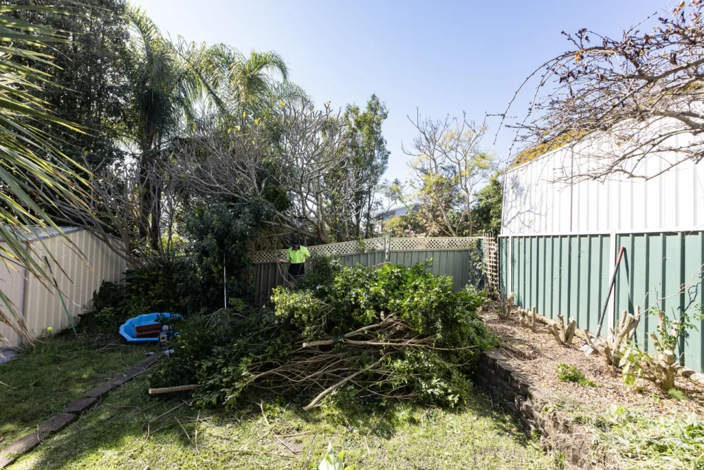 Backyard Before Trees Cramped space
