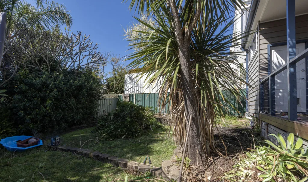 Backyard Before Trees Cramped space