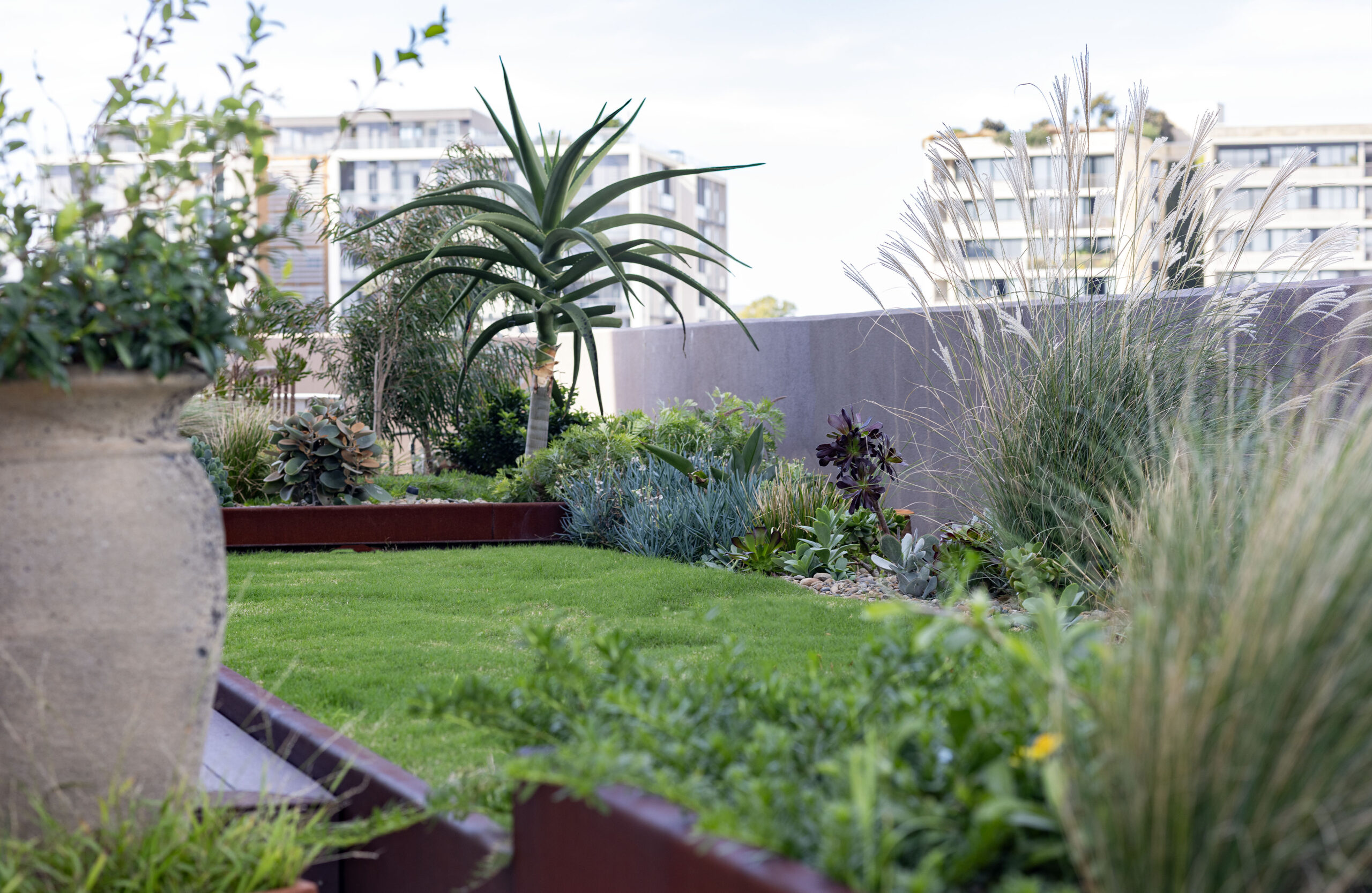 Rooftop Apartment Landscaping Planting and Decking Newcastle NSW