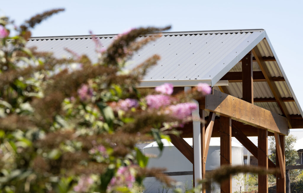 pool-pergola-branxton-newcastle-landscaping-decking-jason-reading-landscapes