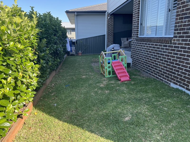 Outdoor Space Pre-construction Landscaping Cameron Park