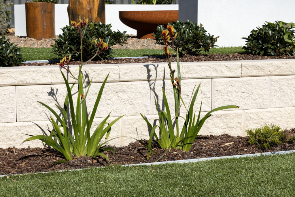 Commercial Domaine display home project in Cooranbong NSW consisting of decorative screening, turfing, retaining walls, steppers, fire pit space, concrete seating, planting and a pergola.