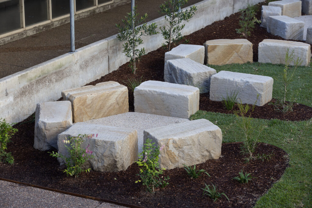 Young native trees and shrubs planted around the sandstone seating at John Hunter Hospital