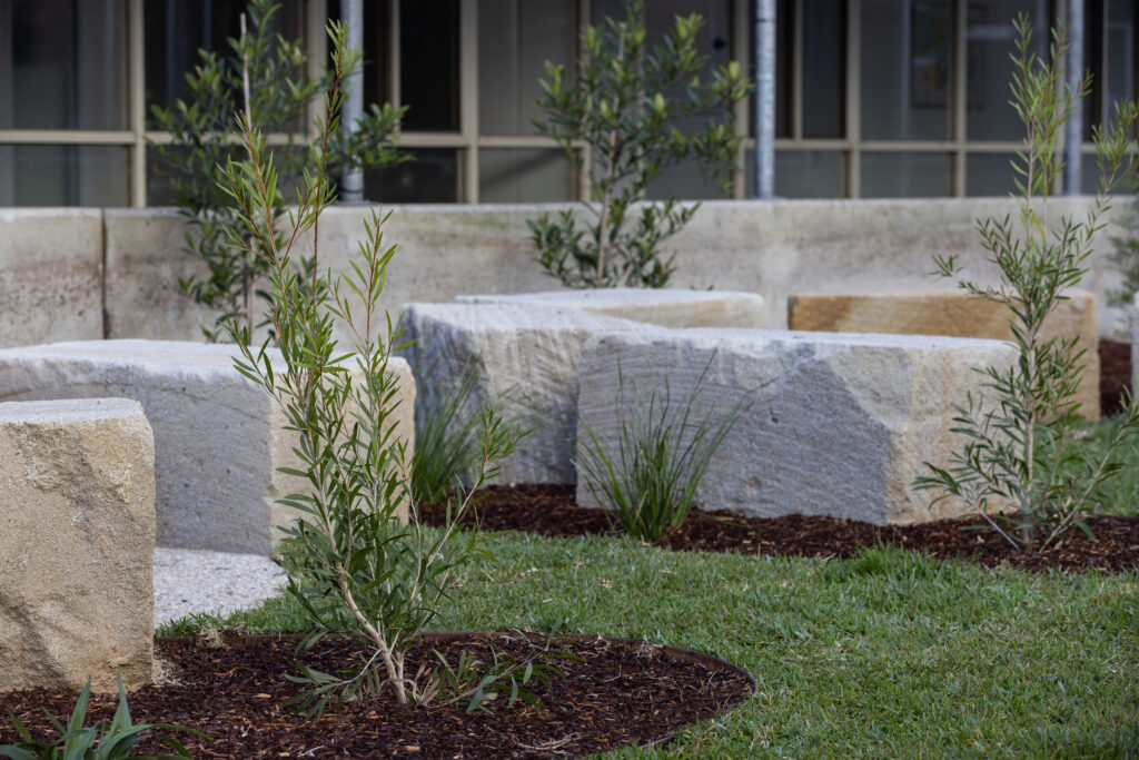 Native shrub planting among sandstone seating in the John Hunter Hospital cultural connection space