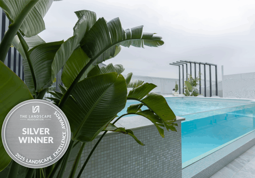 Completed pool surrounds landscaping project. Design and construction completed by Jason Reading Landscapes