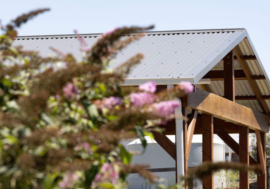 pool-pergola-branxton-newcastle-landscaping-decking-jason-reading-landscapes